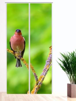 Der Stille Flächenvorhang 2teilige mit tollem Vogelmotiv - Singvogel Raumteiler